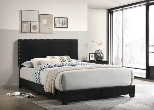 HH520 Velvet Upholstered Bed w/Nailheads